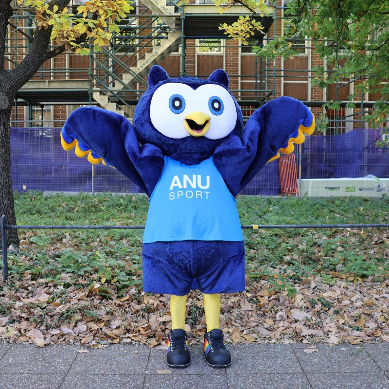 Owl Mascot